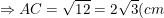 \small \Rightarrow AC=\sqrt{12}=2\sqrt{3}(cm)